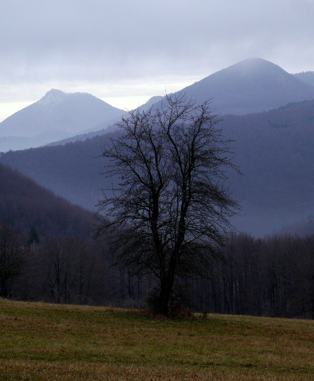 Slovakija, Jesen, Kalnai, Vápeč, Homôlka, Nemokamos Nuotraukos,  Nemokama Licenzija