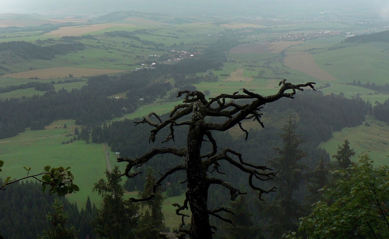 Slovakija, Medis, Liptov, Kaimas, Vaizdas, Panorama, Šalis, Laukas, Foressi, Kalnai