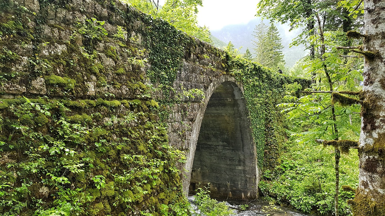 Slovenia, Gamta, Tiltas, Upė, Kraštovaizdis, Medžiai, Vasara, Žalias, Nemokamos Nuotraukos,  Nemokama Licenzija