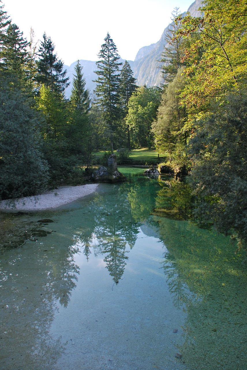 Slovenia, Bohinj, Ežeras, Gamta, Fonas, Žalias, Mėlynas, Kalnai, Upė, Švarus