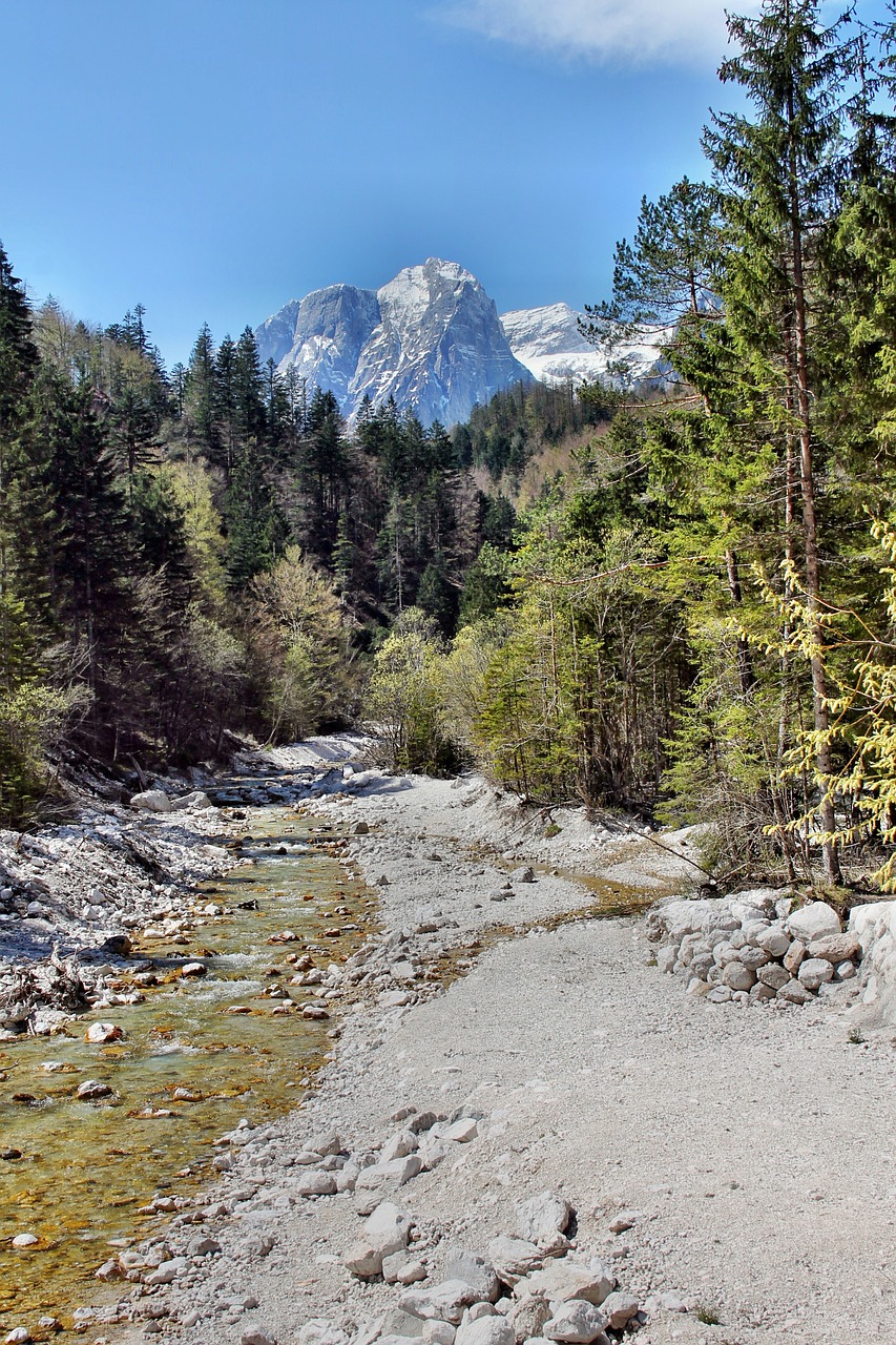 Slovenia,  Gamta,  Kalnai,  Medžiai,  Aišku,  Kraštovaizdis, Nemokamos Nuotraukos,  Nemokama Licenzija