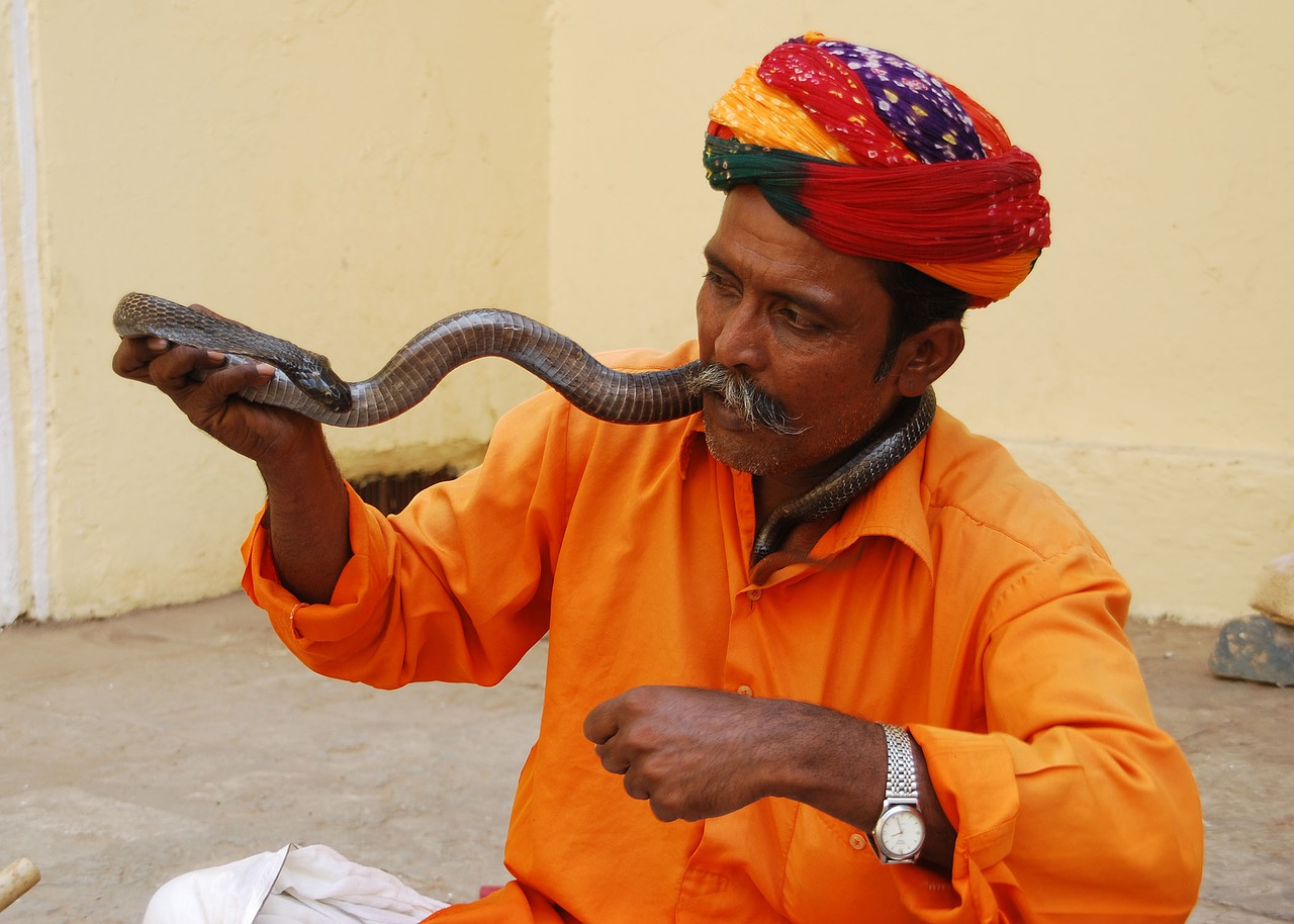 Gyvatė Charmer Jaipur, Amer Fort Jaipur Turas, Kelionės, Nemokamos Nuotraukos,  Nemokama Licenzija