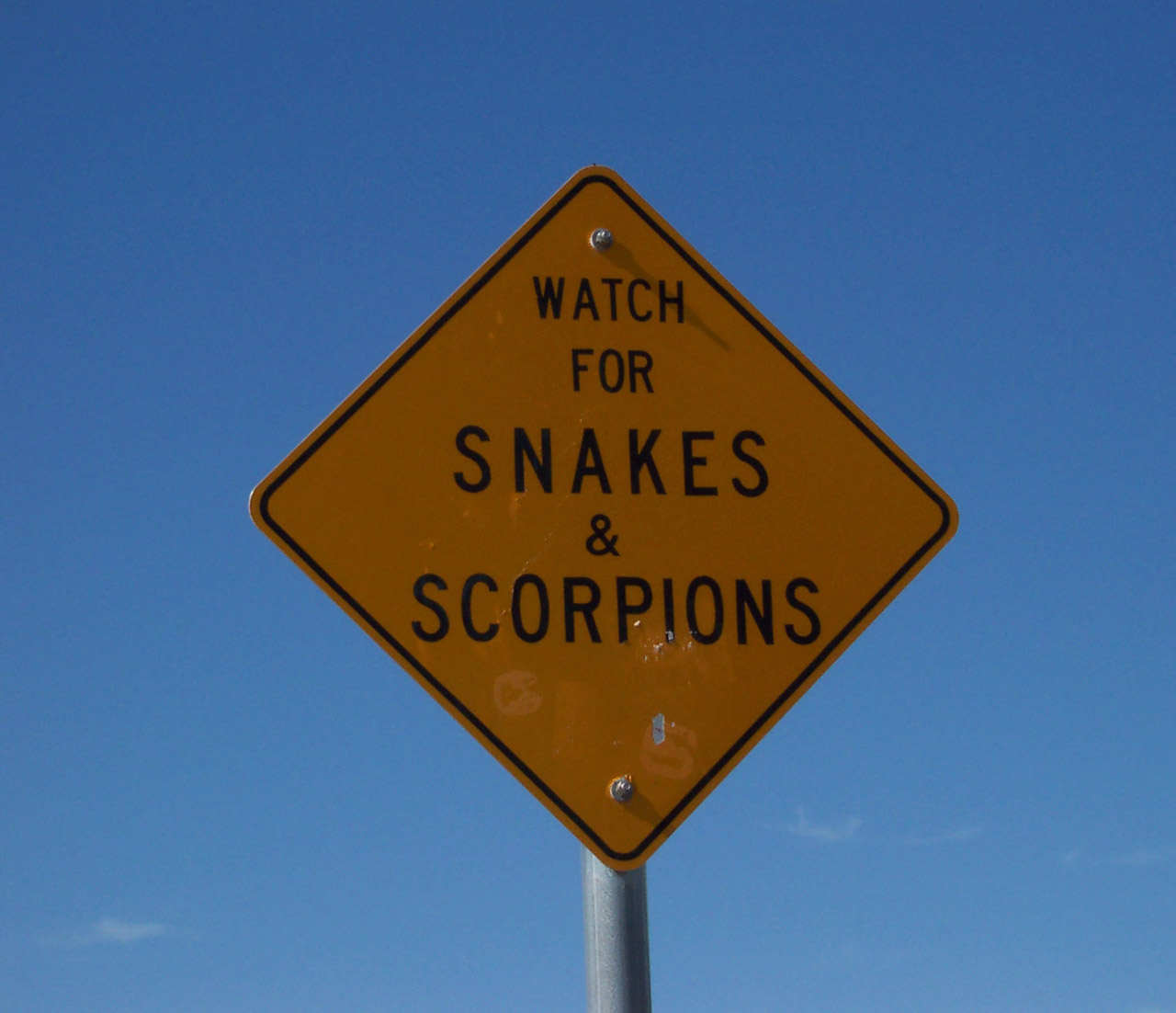 Įspėjimas,  Gyvatės,  Skorpionai,  Gyvatės Ir Skorpionai, Nemokamos Nuotraukos,  Nemokama Licenzija