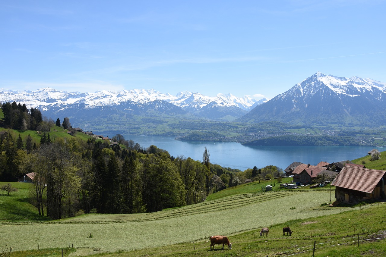 Čiaudėjimas, Ežeras Thun, Berni Oberland, Kalnai, Thun Hausberg, Šveicarija, Ežeras, Kraštovaizdis, Pavasaris, Nemokamos Nuotraukos