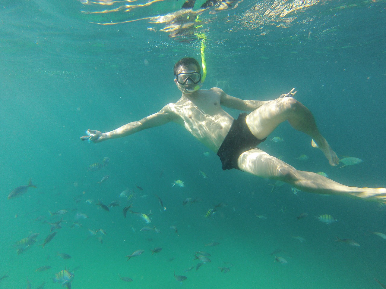 Snorkeling,  Meksika,  Baja California,  Žuvis, Nemokamos Nuotraukos,  Nemokama Licenzija