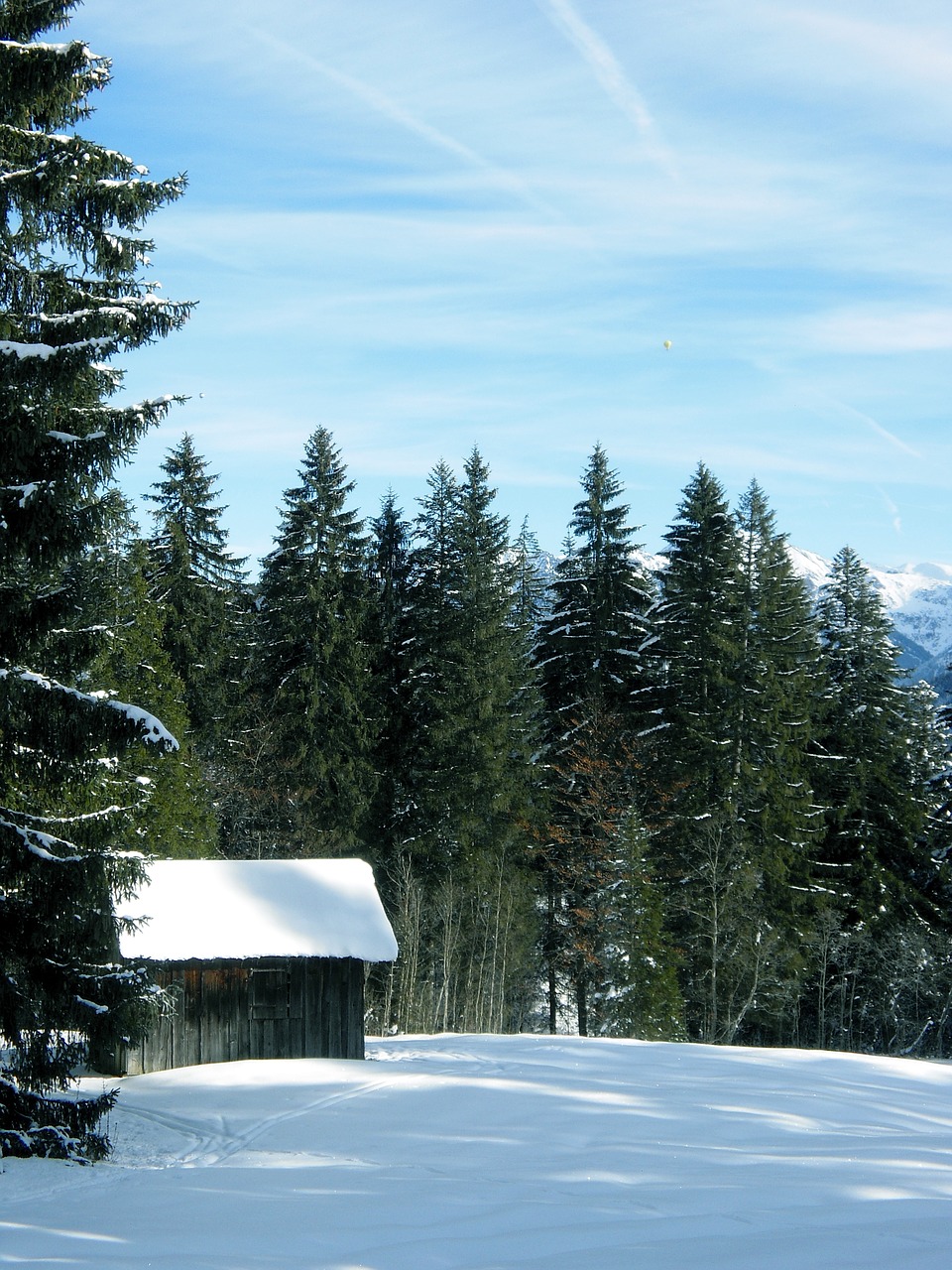 Sniegas, Žiema, Riezlern, Eglės, Namelis, Dangus, Mėlynas, Žiemą, Šaltas, Austria