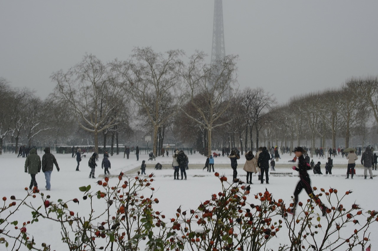Sniegas, Paris, Champs De Mars, Eifelio Bokštas, Žiema, Šaltas, Žaidimai, Nemokamos Nuotraukos,  Nemokama Licenzija