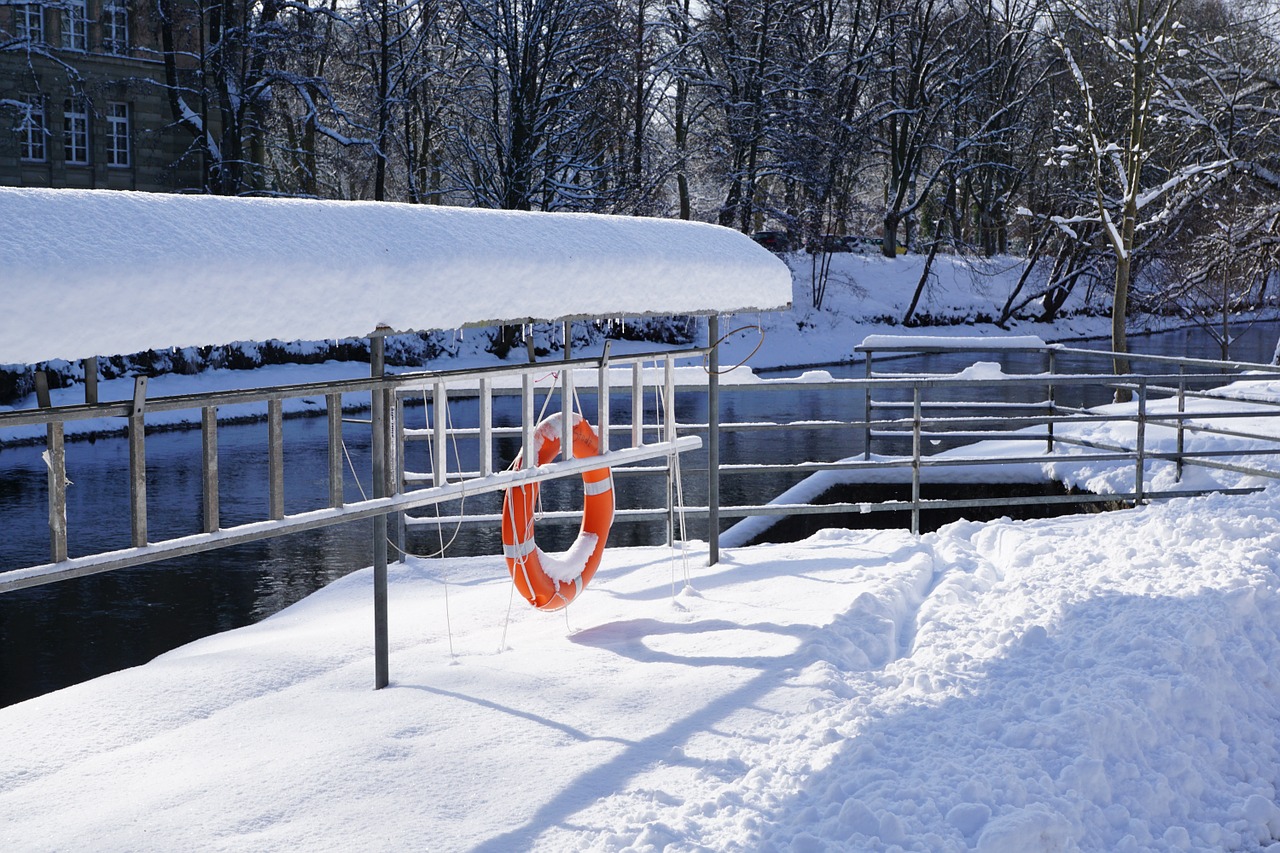 Sniegas, Žiema, Danube, Gyvatvorė, Tylus, Tuttlingen, Vokietija, Sutaupyti, Pagalba, Nemokamos Nuotraukos