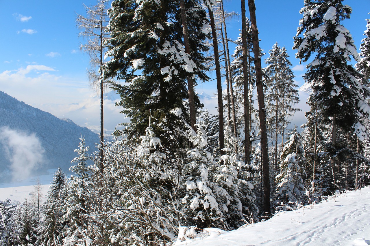 Sniegas, Žiemos Sportas, Kalnai, Austria, Alpės, Alpbach, Nemokamos Nuotraukos,  Nemokama Licenzija