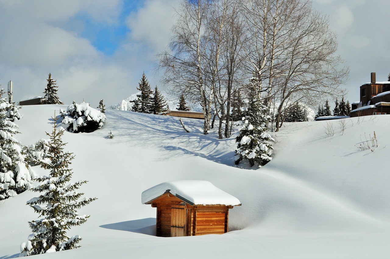 Sniegas, Alpės, Haute-Savoie, Žiemos Peizažas, Kalnas, Slidinėjimas, Žiema, Kraštovaizdis, Alpinizmas, Gamta