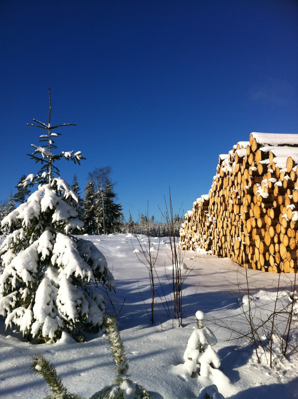 Sniegas, Mėlynas, Oras, Mėlynas Dangus, Finland, Mėlynas Dangus, Balta, Kraštovaizdis, Dangus, Gamta