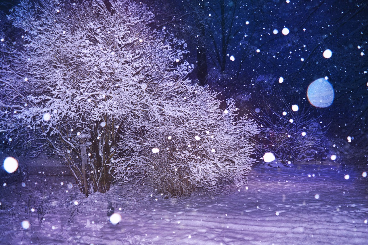 Sniegas, Naktis, Gruodžio Mėn ., Žiema, Balta, Šaltis, Kraštovaizdis, Medis, Žiemos Naktį, Gamta