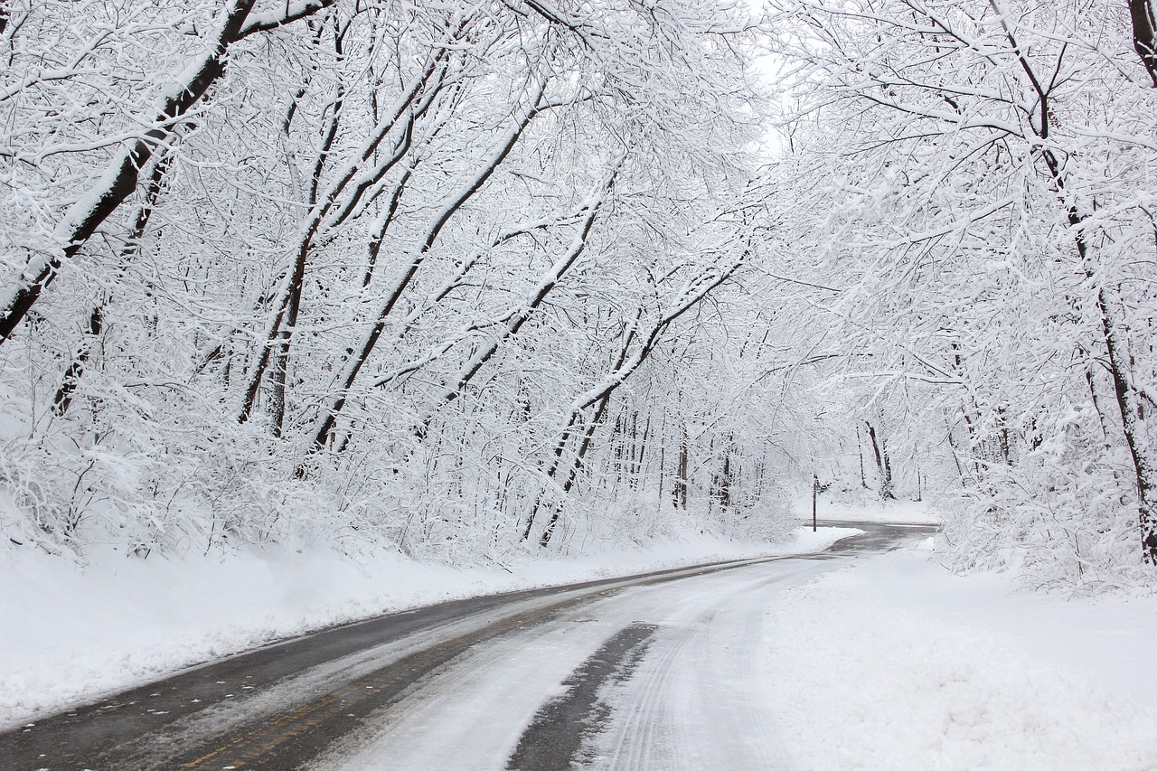 Sniegas, Snieguotas Kelias, Žiema, Gamta, Šaltas, Sušaldyta, Miškas, Medžiai, Blizzard, Nemokamos Nuotraukos