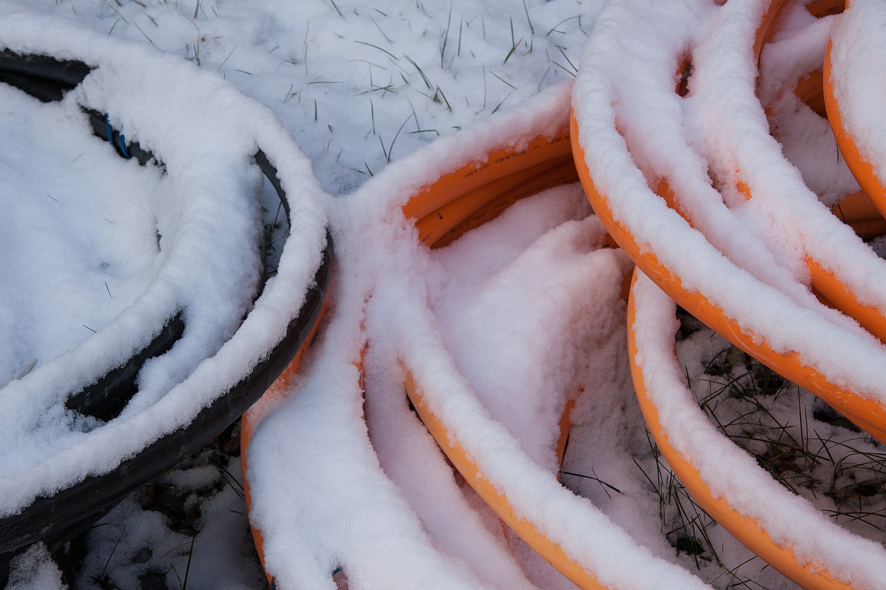 Sniegas, Naujoji Zelandija, Žiema, Balta, Šaltas, Sušaldyta, Mediena, Kabelis, Juoda, Oranžinė