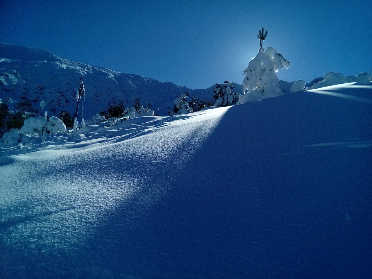 Sniegas, Gamta, Šaltas, Kalnas, Medžiai, Žiema, Kalnas, Kalnų Nevadas, Ledas, Nevada