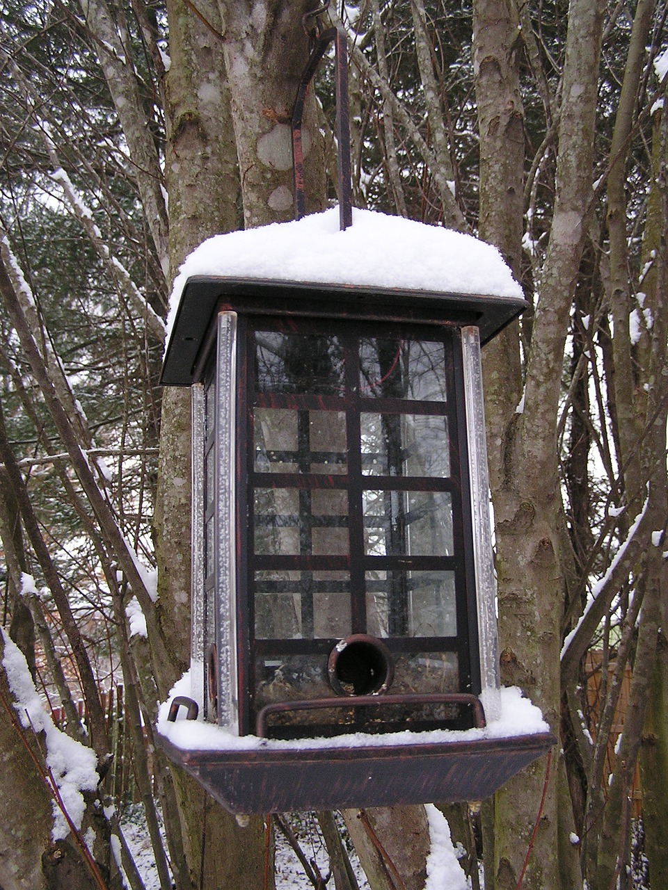 Sniegas, Paukščių Maitintojas, Žiema, Paukštis, Gamta, Šaltas, Medis, Birdhouse, Gyvūnas, Lauke