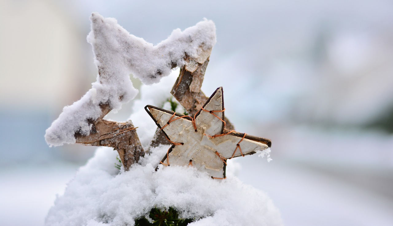 Sniegas, Žiema, Žiemą, Žvaigždė, Poinsettia, Kalėdos, Šaltas, Snieguotas, Gruodžio Mėn ., Sniegas