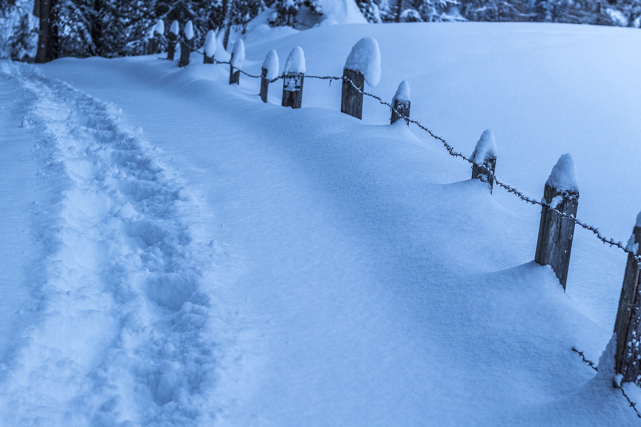 Sniegas, Žiema, Šaltas, Ledas, Šaltis, Sušaldyta, Kelionė, Gamta, Kraštovaizdis, Blizzard