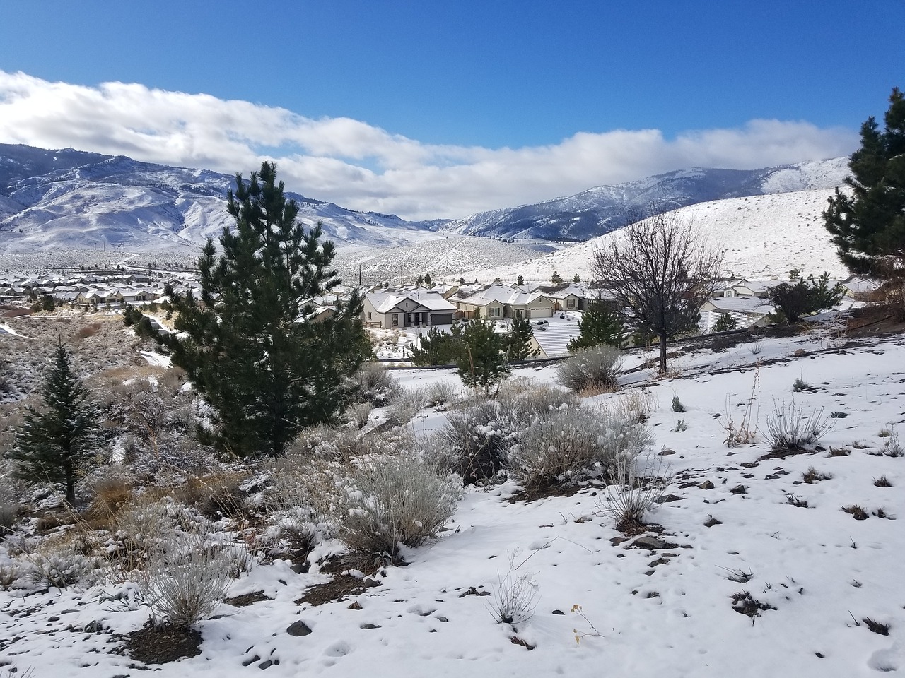 Sniegas, Žiema, Gamta, Kalnas, Sierra Nevada, Nemokamos Nuotraukos,  Nemokama Licenzija