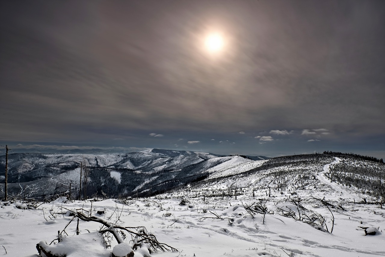 Sniegas, Žiema, Teismo Posėdyje, Niekas, Gamta, Ledas, Sušaldyta, Kraštovaizdis, Šaltas, Panoraminis