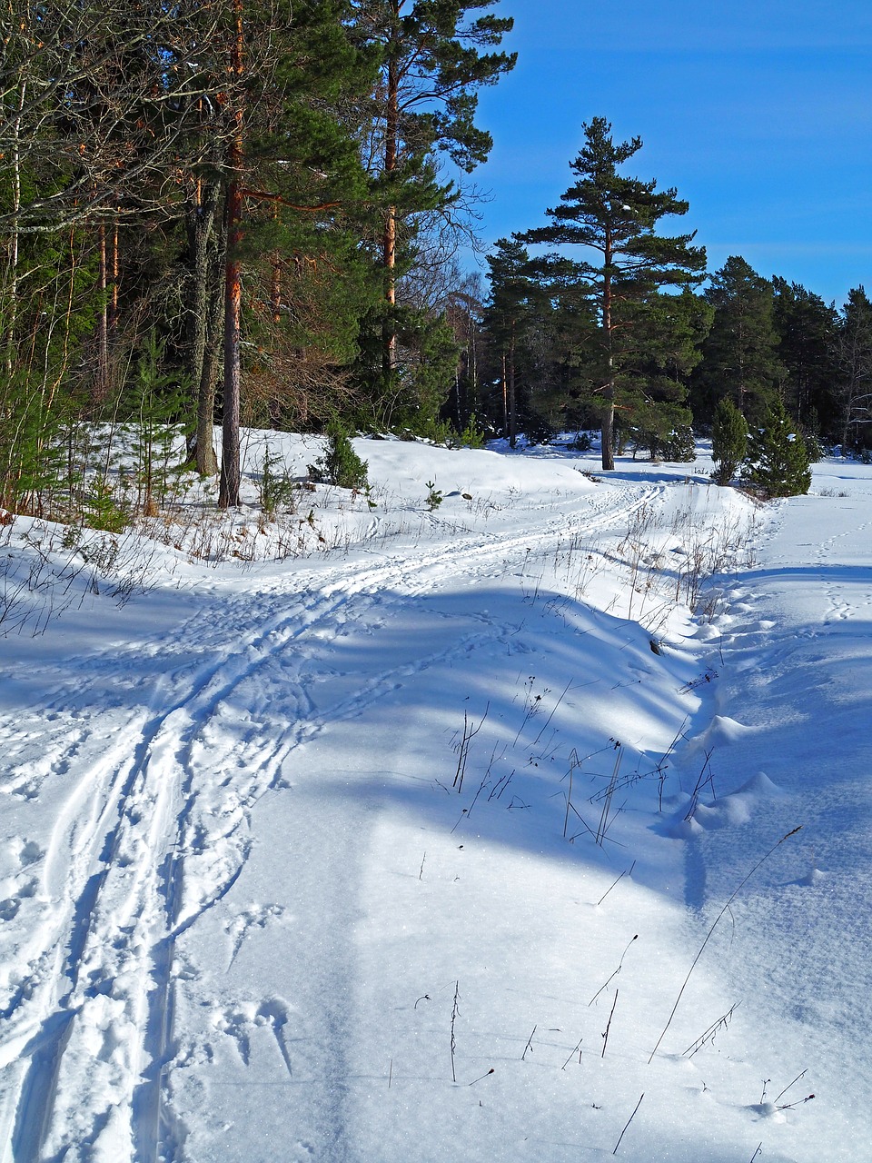 Sniegas, Žiema, Sezonas, Slidinėjimo Trasos, Björnö, Nemokamos Nuotraukos,  Nemokama Licenzija