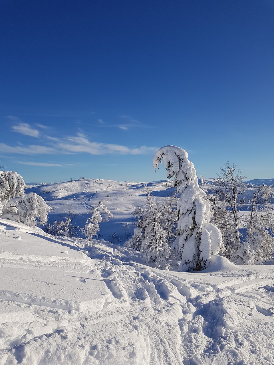 Sniegas,  Žiema,  Ledas,  Peršalimas,  Kalnas,  Kraštovaizdis,  Sezonas,  Norvegija,  Peržiūros,  Medžiai