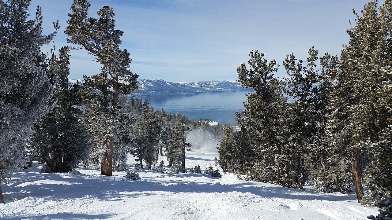 Sniegas,  Žiema,  Šaltas,  Mediena,  Medis,  Ežeras Tahoe,  Be Honoraro Mokesčio, Nemokamos Nuotraukos,  Nemokama Licenzija