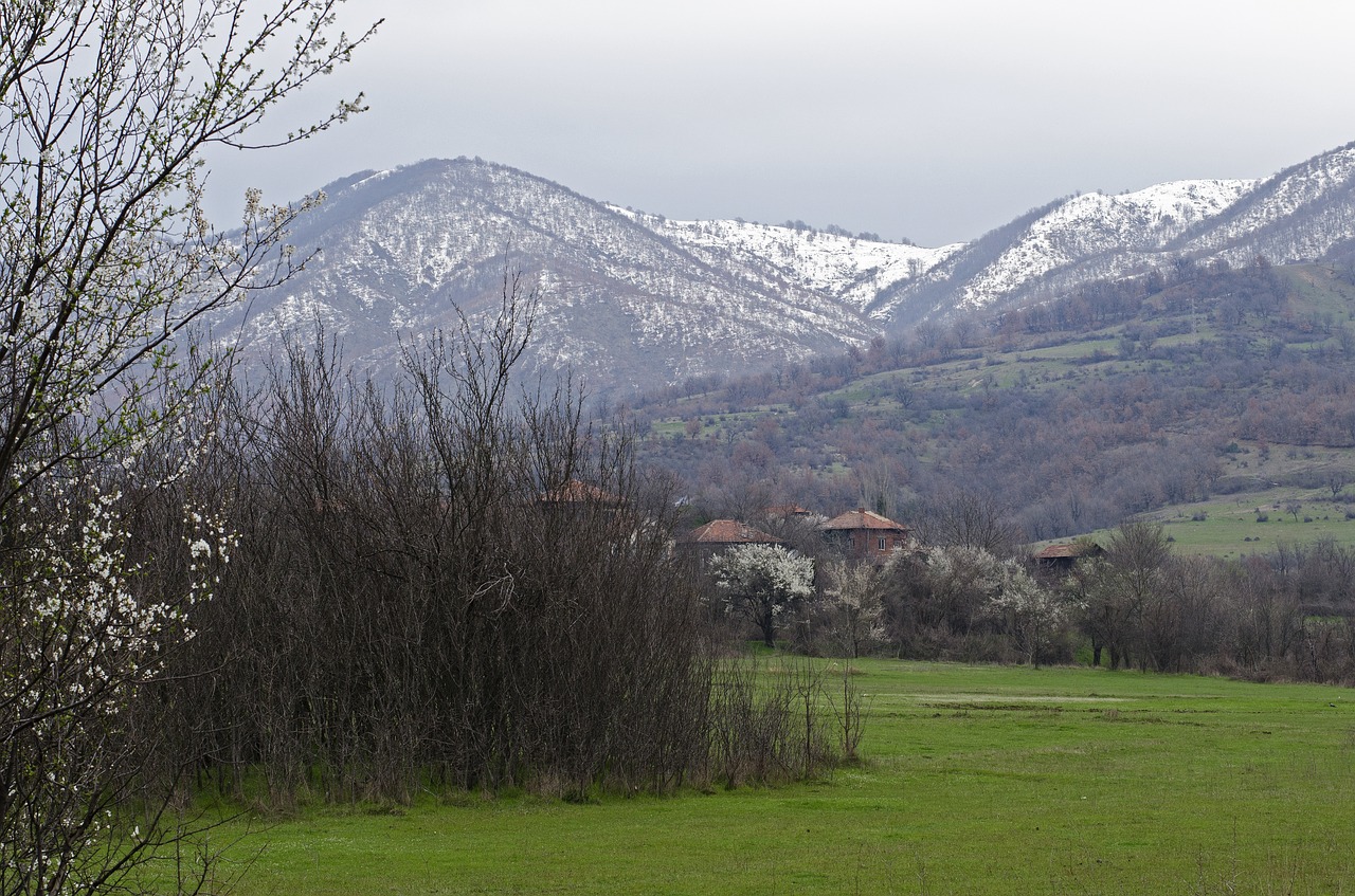 Sniegas,  Pieva,  Kaimas,  Kalnai,  Pavasaris,  Scena,  Žalia Žolė,  Kaimas,  Šaltas,  Žolė