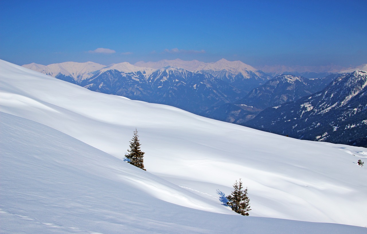 Sniegas,  Žiema,  Praeiti,  Kalnų Viršūnių Susitikimas,  Panorama,  Alpių,  Šveicarija,  Graubünden,  Snowshoeing,  Turistiniai Slidės