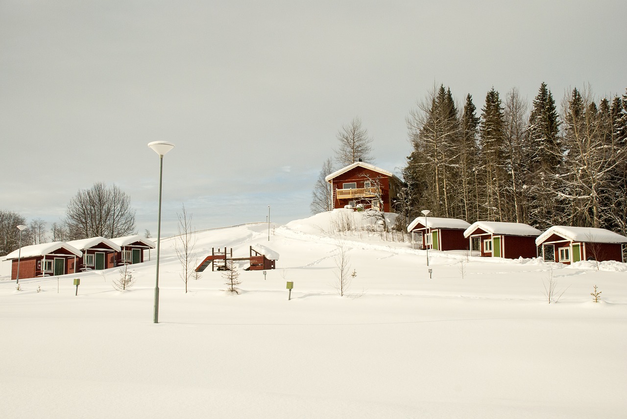 Sniegas,  Žiema,  Šaltas,  Sušaldyta,  Medis,  Atostogų Kaimas,  Jämtland,  Švedija,  Yra,  Gamta