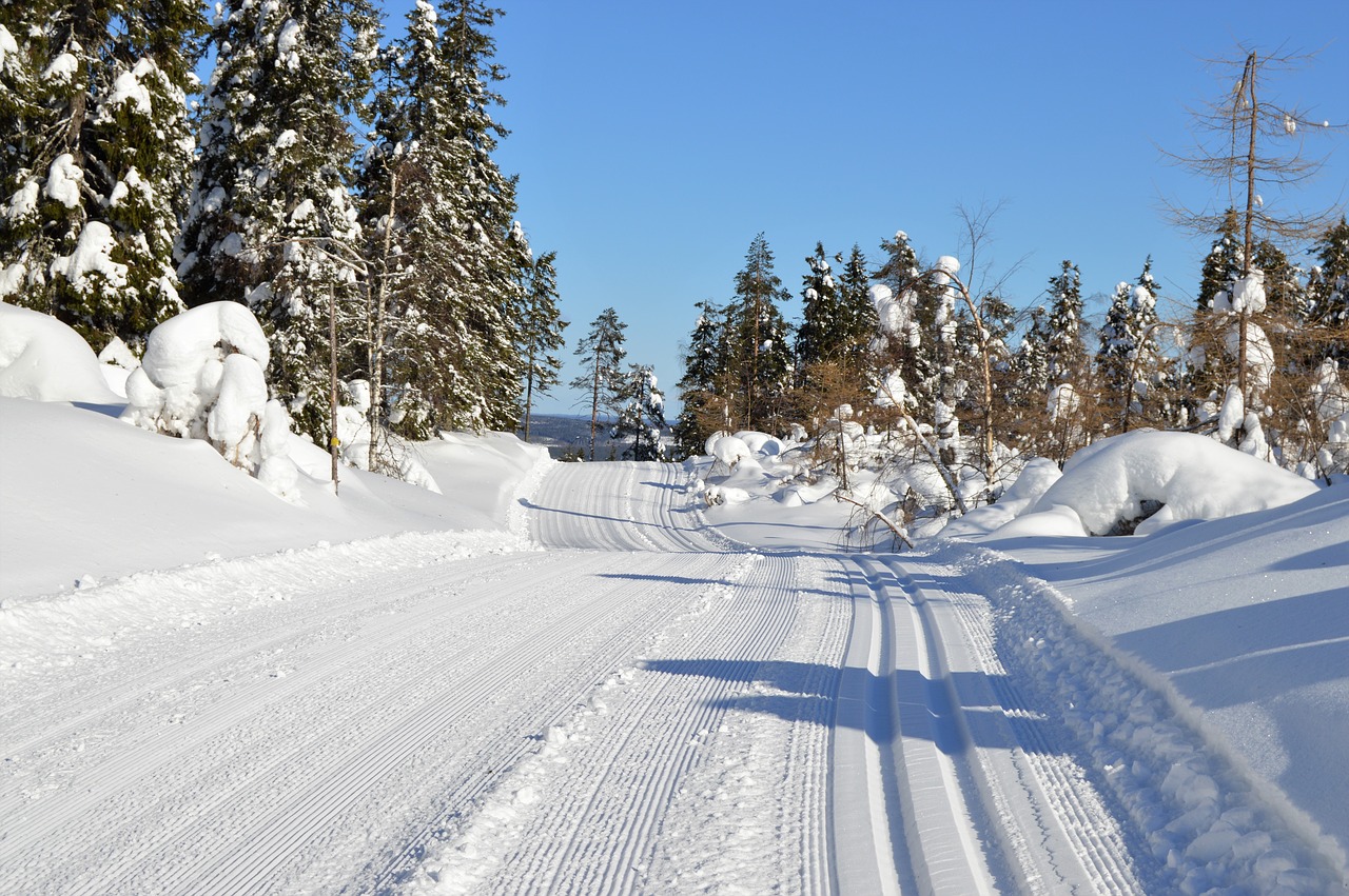 Sniegas,  Žiema,  Trasa,  Suomių,  Slidinėjimas,  Be Honoraro Mokesčio, Nemokamos Nuotraukos,  Nemokama Licenzija