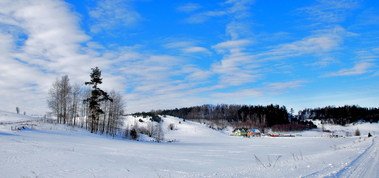 Sniegas,  Žiemos,  Šalto,  Sušaldyti,  Nuo Užšalimo,  Panoraminis,  Kraštovaizdis, Nemokamos Nuotraukos,  Nemokama Licenzija