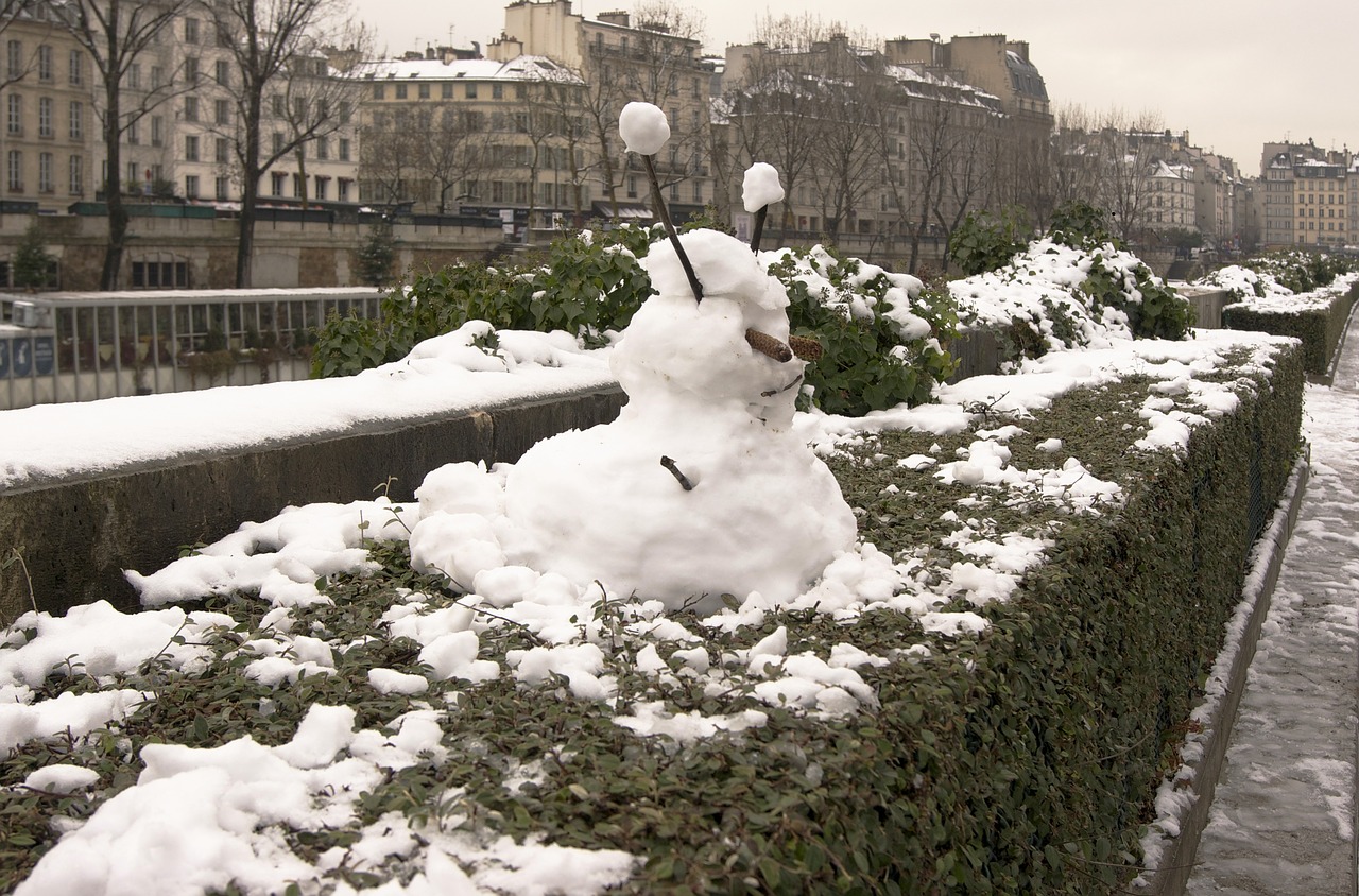 Sniegas, Skulptūra, Sniego Žmogus, Paris, France, Žiema, Miestas, Šventė, Sezonas, Šaltas