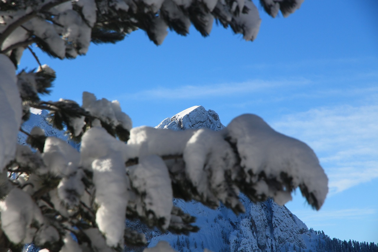 Sniegas, Kalnas, Žiema, Dangus, Medis, Gamta, Italy, Fassa, Dolomitai, Nemokamos Nuotraukos