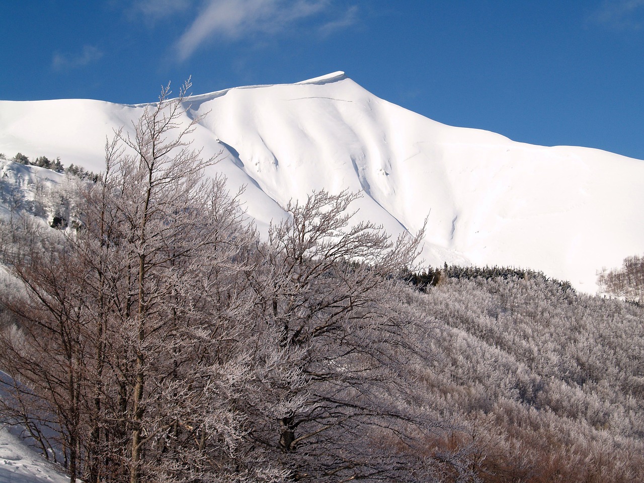 Sniego Viršutinės Smailės, Corno Alle Scale, Italy, Nemokamos Nuotraukos,  Nemokama Licenzija