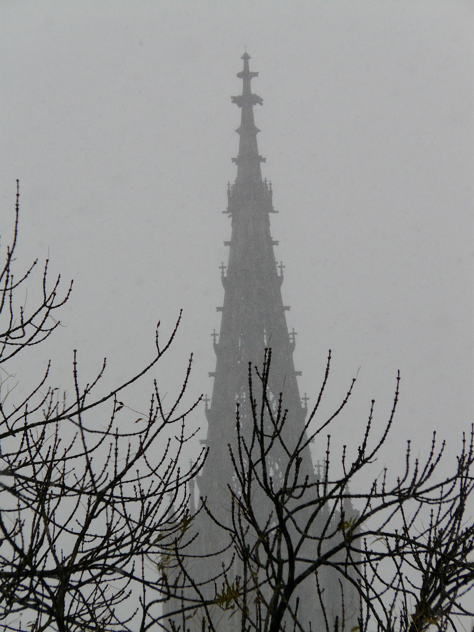 Sniego Gūsis, Rūkas, Trist, Pilka, Bokštas, Spire, Ulmi Katedra, Bažnyčia, Pastatas, Dom