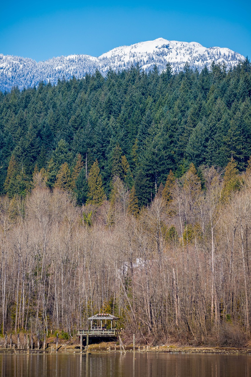 Sniego Kalnų,  Port Moody,  Pakrantė, Nemokamos Nuotraukos,  Nemokama Licenzija