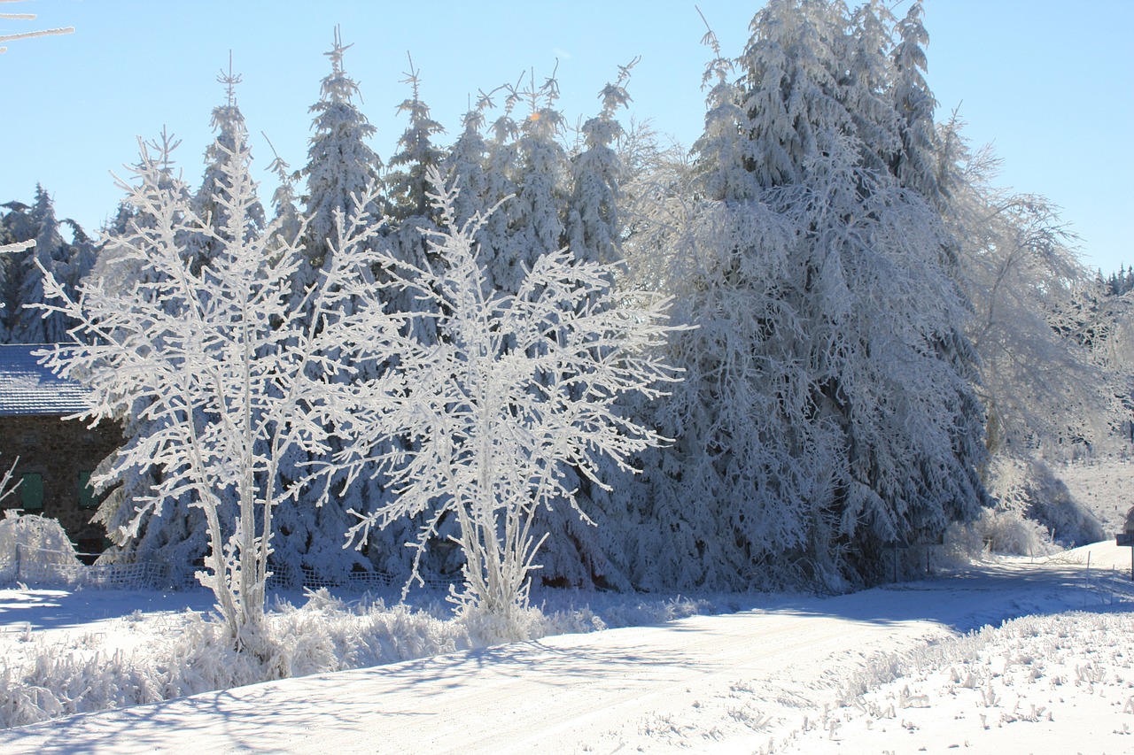 Sniego Scena, France, Auvergne, Šaltis, Sniegas, Žiema, Kraštovaizdis, Dykuma, Peizažas, Natūralus