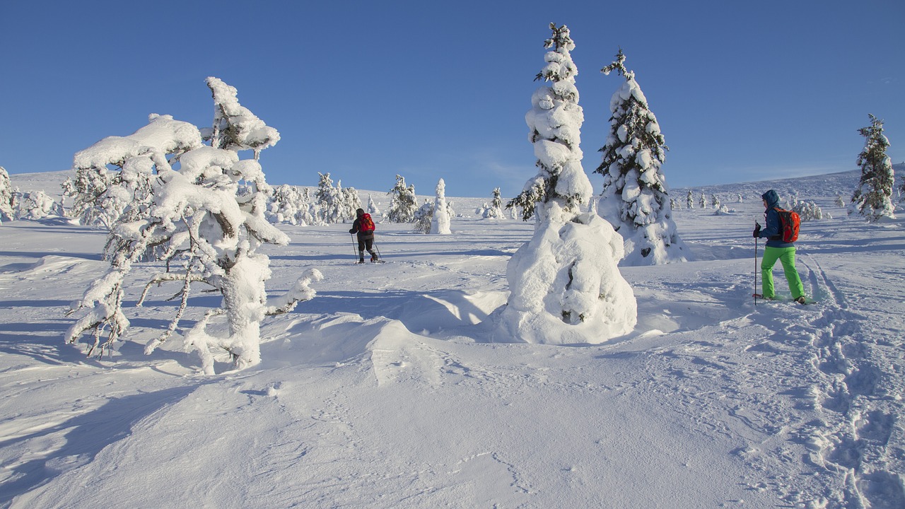 Sniego Batų Sniego Batų Važiavimas, Finland, Laplandas, Žiemą, Žiemos Nuotaika, Šaltas, Äkäslompolo, Nemokamos Nuotraukos,  Nemokama Licenzija