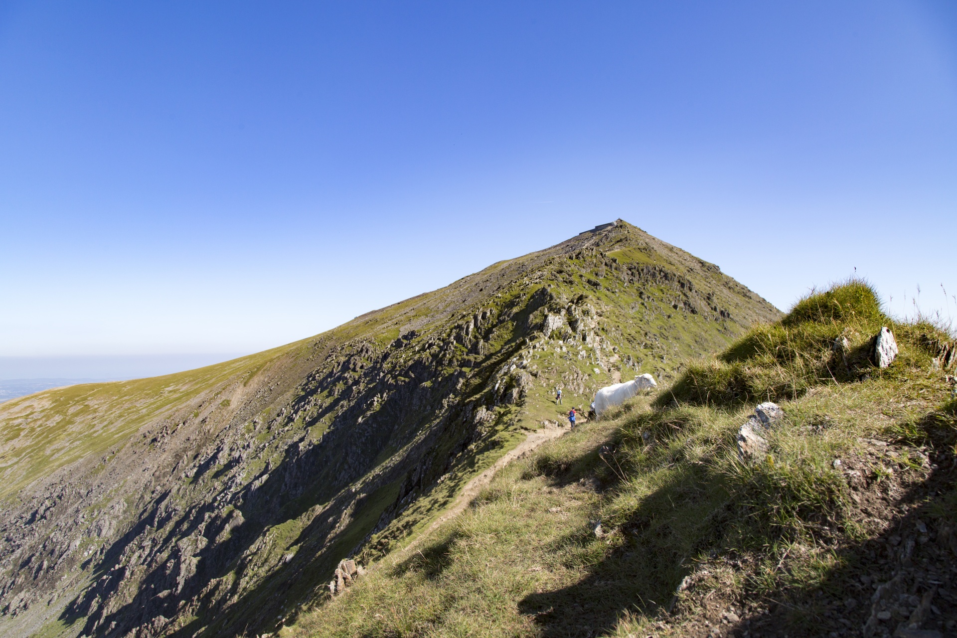 Snieguotė,  Slėnis,  Valų Kalba,  Kalnai,  Snowdon,  Uk,  Lauke,  Kiauras,  Kalnas,  Natūralus