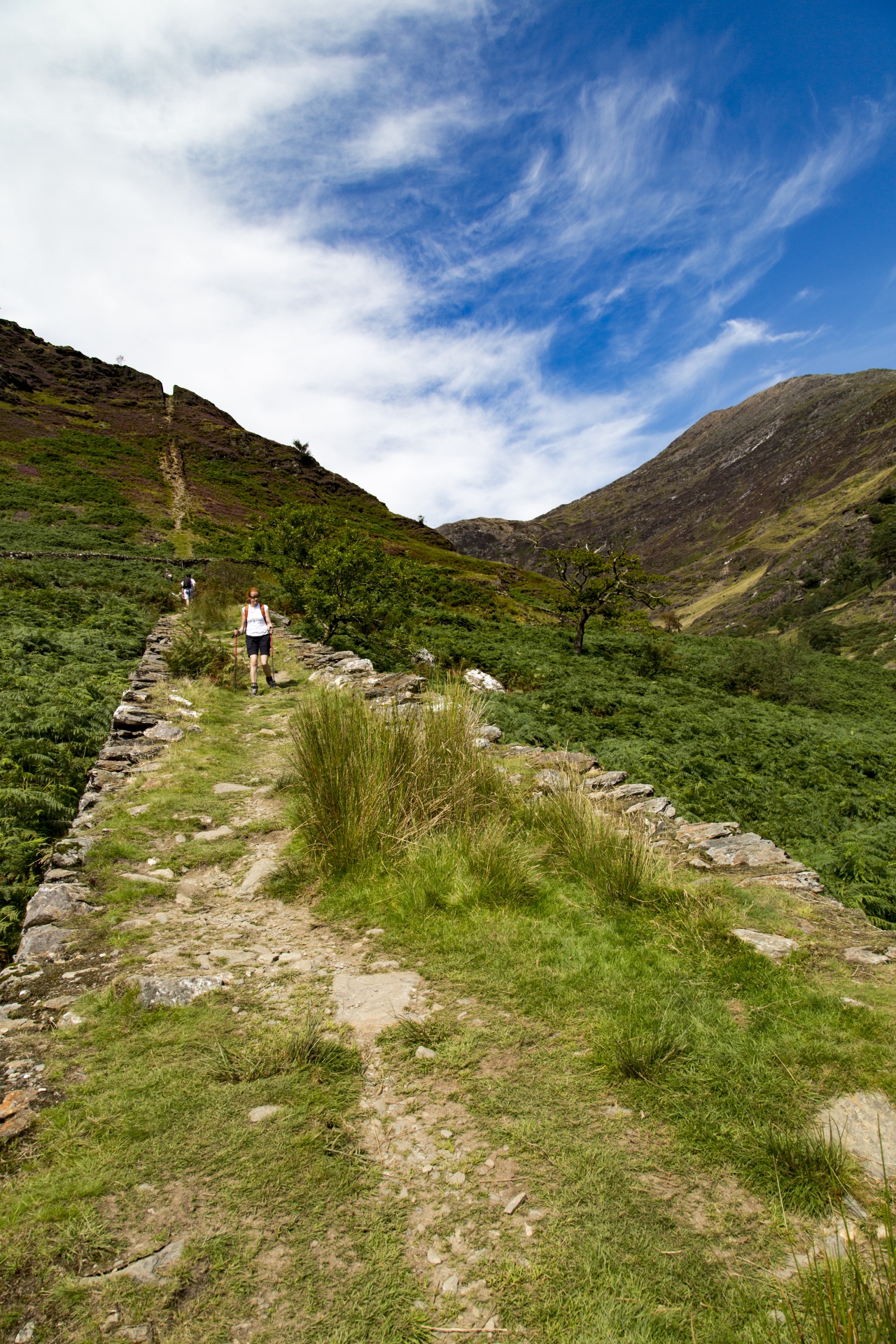 Snieguotė,  Slėnis,  Valų Kalba,  Kalnai,  Snowdon,  Uk,  Lauke,  Kiauras,  Kalnas,  Natūralus