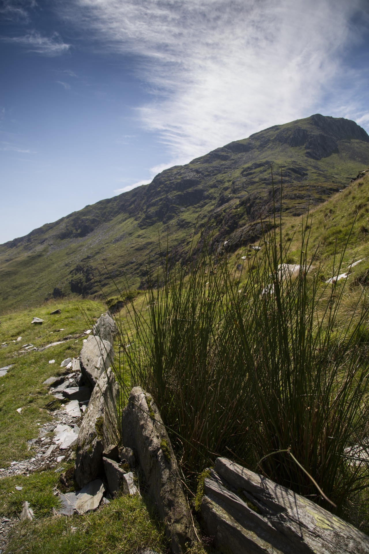 Snieguotė,  Slėnis,  Valų Kalba,  Kalnai,  Snowdon,  Uk,  Lauke,  Kiauras,  Kalnas,  Natūralus