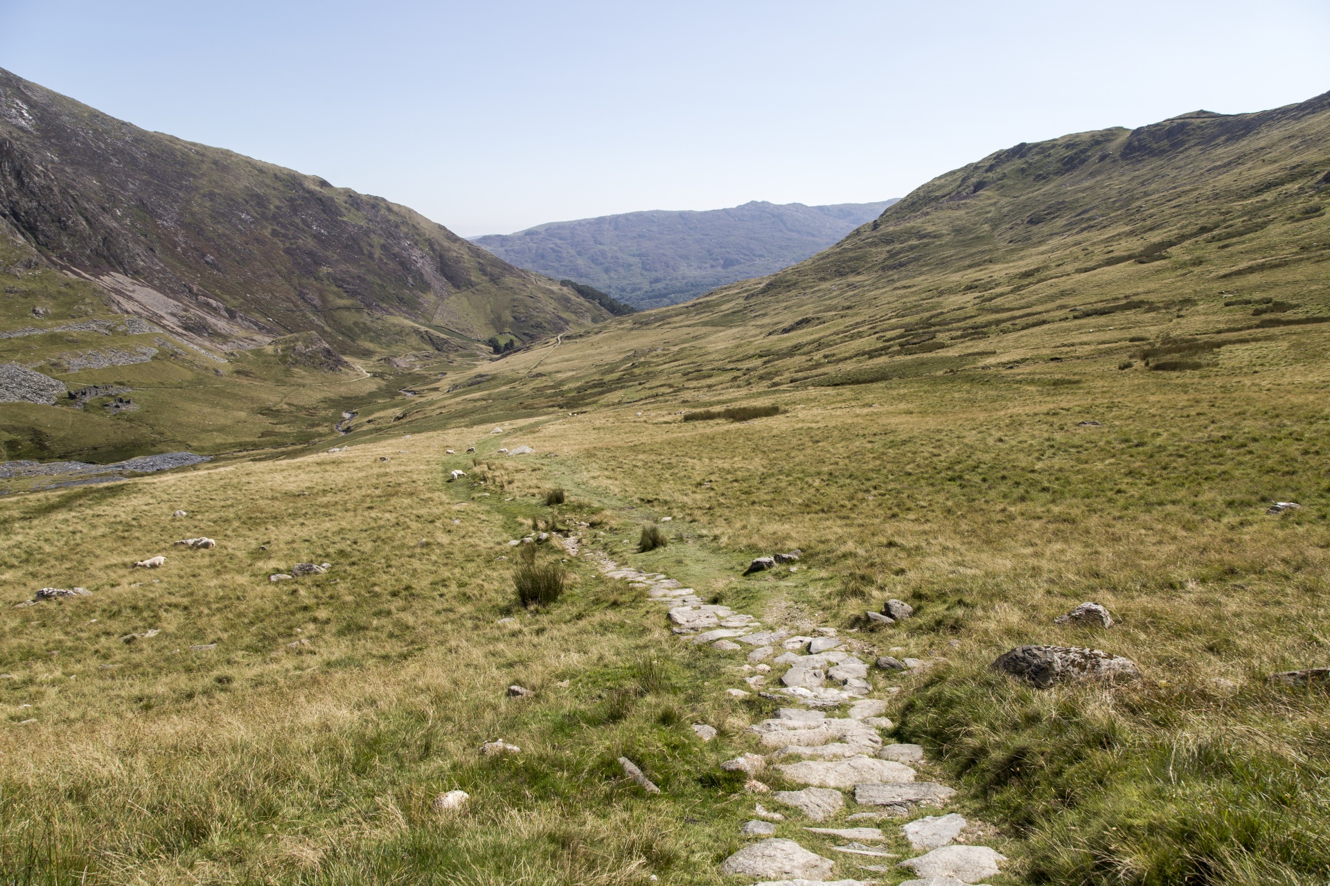 Snieguotė,  Slėnis,  Valų Kalba,  Kalnai,  Snowdon,  Uk,  Lauke,  Kiauras,  Kalnas,  Natūralus