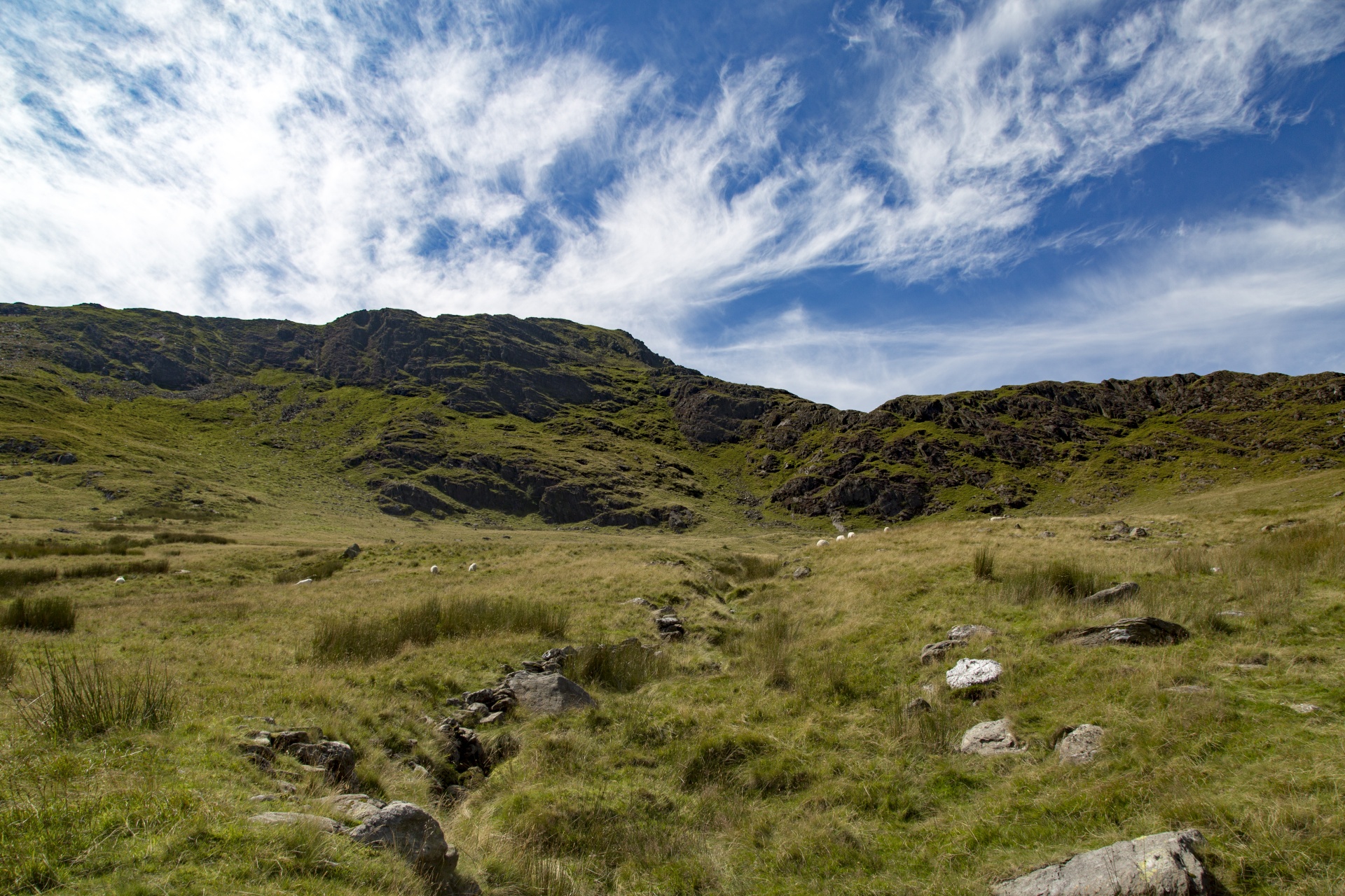 Snieguotė,  Slėnis,  Valų Kalba,  Kalnai,  Snowdon,  Uk,  Lauke,  Kiauras,  Kalnas,  Natūralus