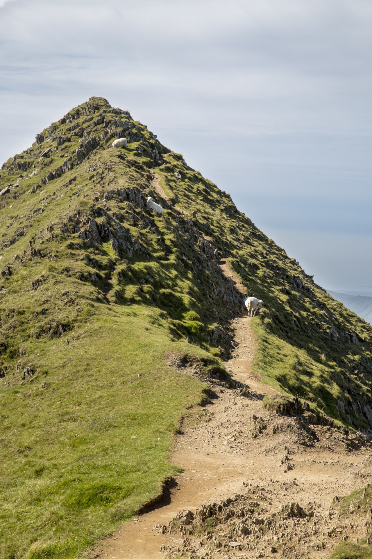 Snieguotė,  Slėnis,  Valų Kalba,  Kalnai,  Snowdon,  Uk,  Lauke,  Kiauras,  Kalnas,  Natūralus