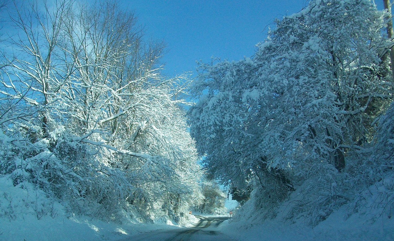 Snieguotas, Padengtas, Pennsylvania, Kelias, Nemokamos Nuotraukos,  Nemokama Licenzija
