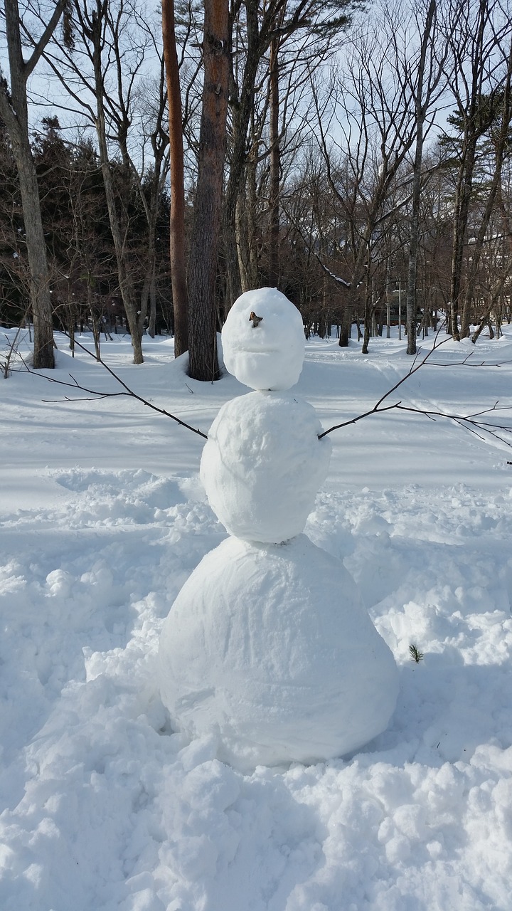 Sniego Senis, Japonija, Sniegas, Žiema, Kalėdos, Šventė, Laimingas, Šaltas, Xmas, Sezonas