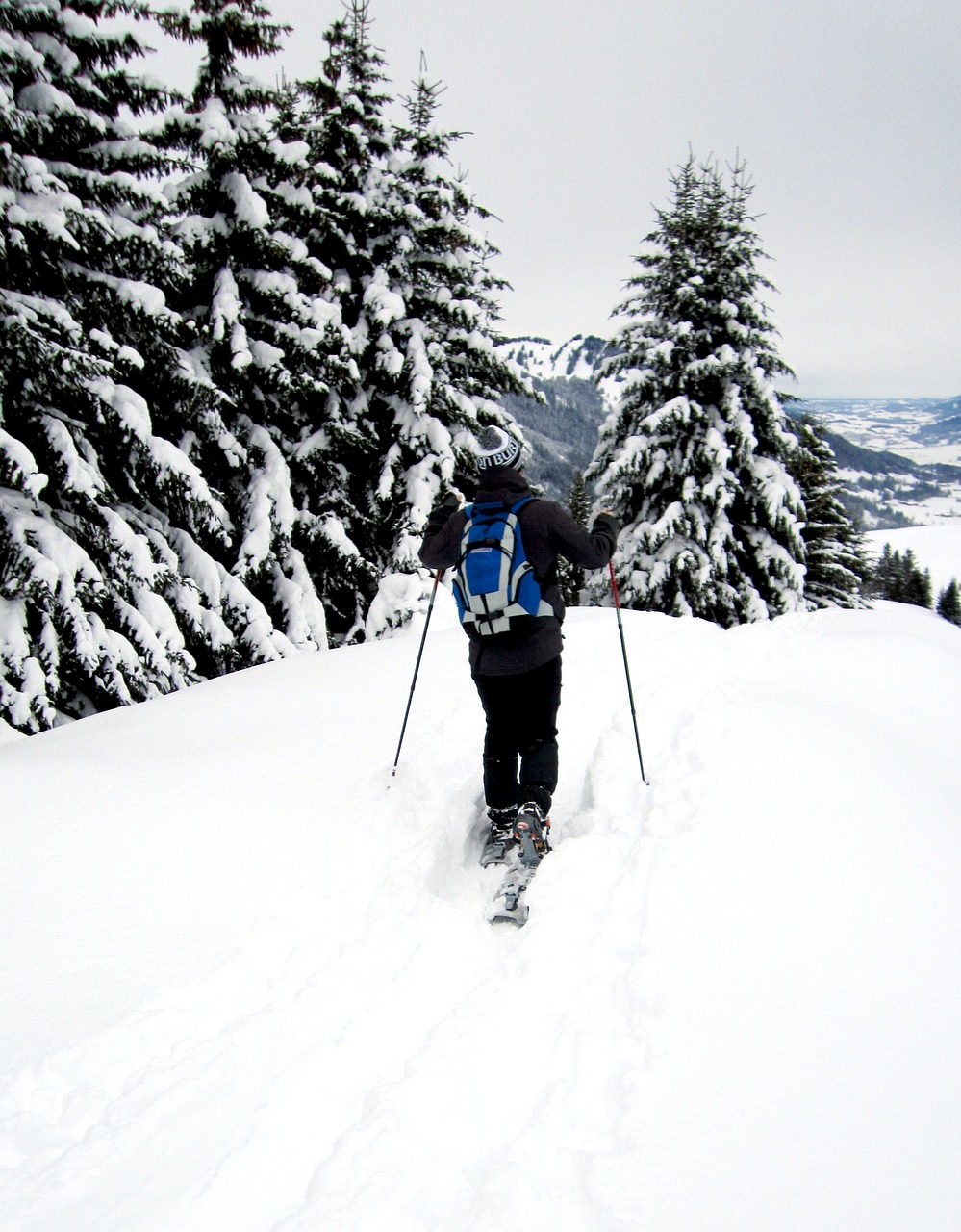 Snowshoe, Snowshoeing, Sniegas, Kalnai, Žiemos Žygiai, Žygiai, Šaltas, Žiema, Alpinizmas, Bergsport