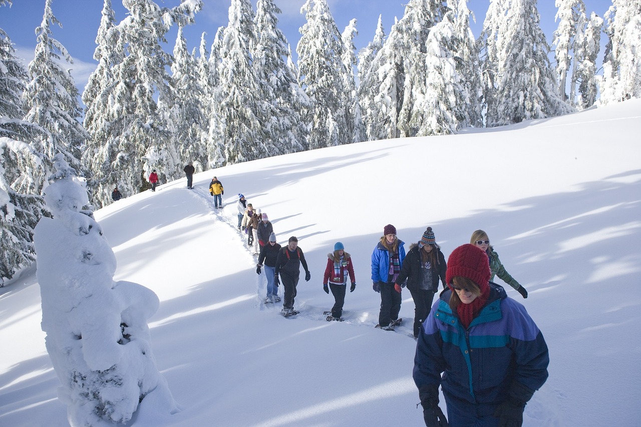 Vaikščioti Snaudžiais, Turistai, Sniegas, Žiema, Lauke, Pasivaikščiojimas, Gyvenimo Būdas, Kelionė, Snowshoeing, Aktyvus