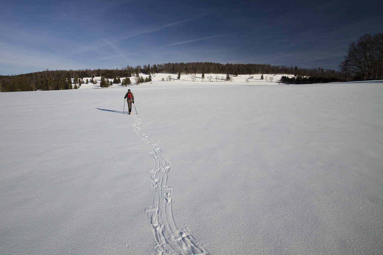 Snowshoeing, Žiema, Žiemą, Žiemos Žygis, Snieguotas, Sniego Batų Trekas, Jura, Nemokamos Nuotraukos,  Nemokama Licenzija